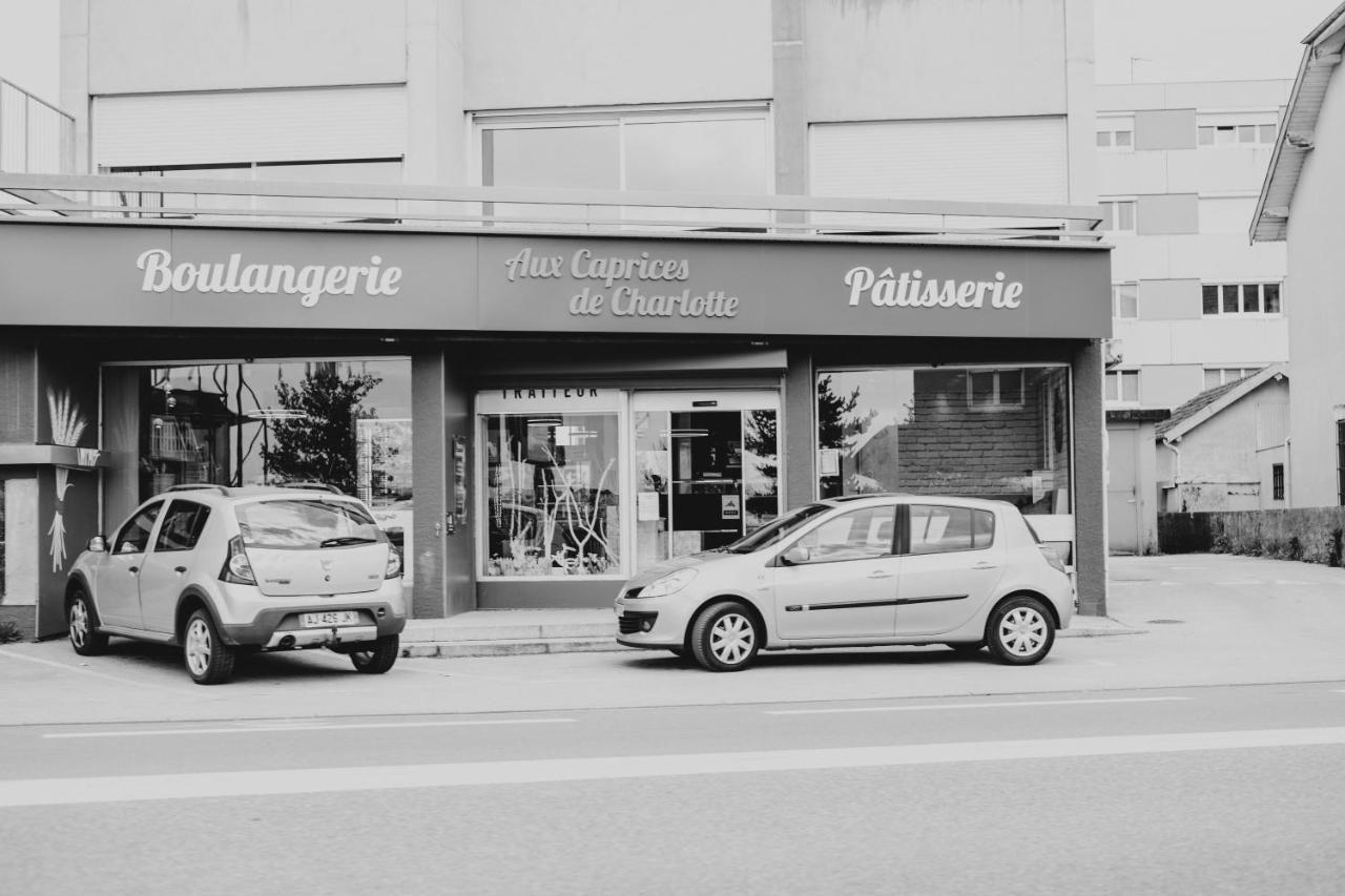 Franc-Bisontin - Unique ! 4 Logements Disponibles Besançon Dış mekan fotoğraf